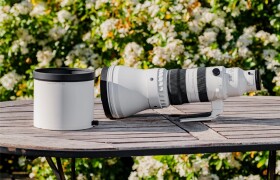 Đánh giá Sigma 300-600mm F4 DG OS Sports – Một kỳ quan mới về quang học và công nghệ mới đến từ Sigma