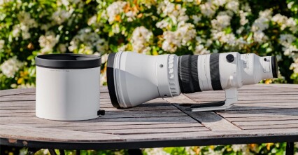Đánh giá Sigma 300-600mm F4 DG OS Sports – Một kỳ quan mới về quang học và công nghệ mới đến từ Sigma