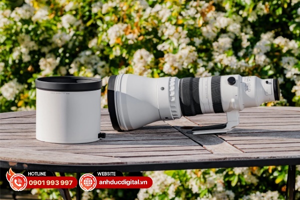 Đánh giá Sigma 300-600mm F4 DG OS Sports – Một kỳ quan mới về quang học và công nghệ mới đến từ Sigma
