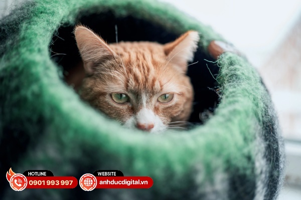 Sigma trang bị cho ống kính 35mm F1.4 DG II ART hệ thống động cơ lấy nét HLA kép với khả năng phản hồi nhanh