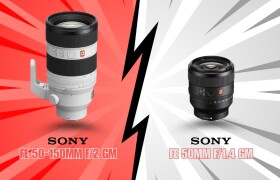Sony FE 50-150mm f/2 GM vs Sony FE 50mm f/1.4 GM: Cân nhắc chọn lens nào?