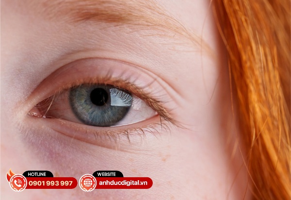 Độ chi tiết và tương phản của ống kính này gần như thuộc về một đẳng cấp khác