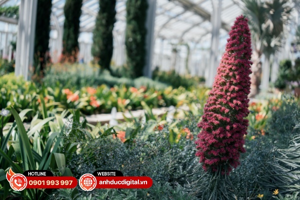 Sony FE 50 - 150mm F2 GM mang đến hiệu ứng xóa phông tốt nhưng chưa hẳn là tuyệt vời