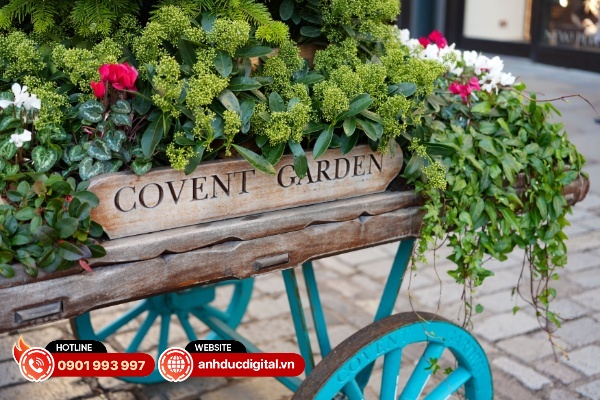 Ảnh chụp từ Sony Alpha A7 V