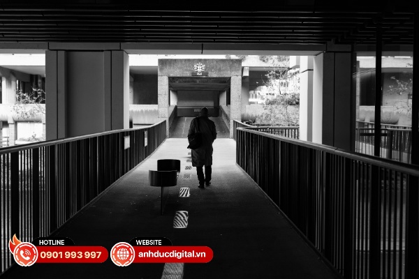 Ảnh chụp từ Sony Alpha A7 V