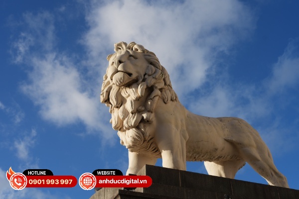 Ảnh chụp từ Sony Alpha A7 V