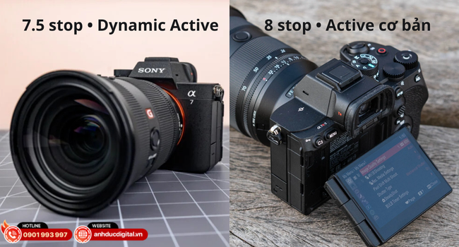 A7V tối ưu video động – A7R V giữ chi tiết ảnh tĩnh sắc nét tối đa