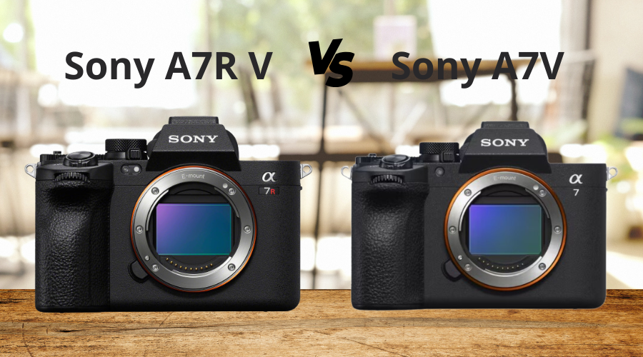 Nên chọn Sony A7V hay Sony A7R V?