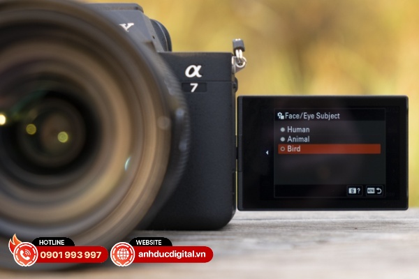 Sony A7V có thể được trang bị hệ thống lấy nét hỗ trợ bởi AI