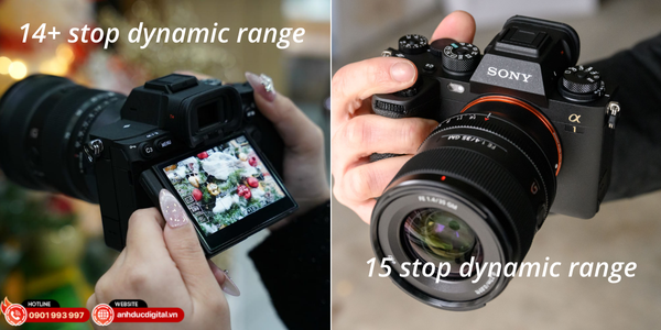 A1 linh hoạt hậu kỳ; A7V cho màu tự nhiên, file RAW nhẹ – tối ưu wedding/event