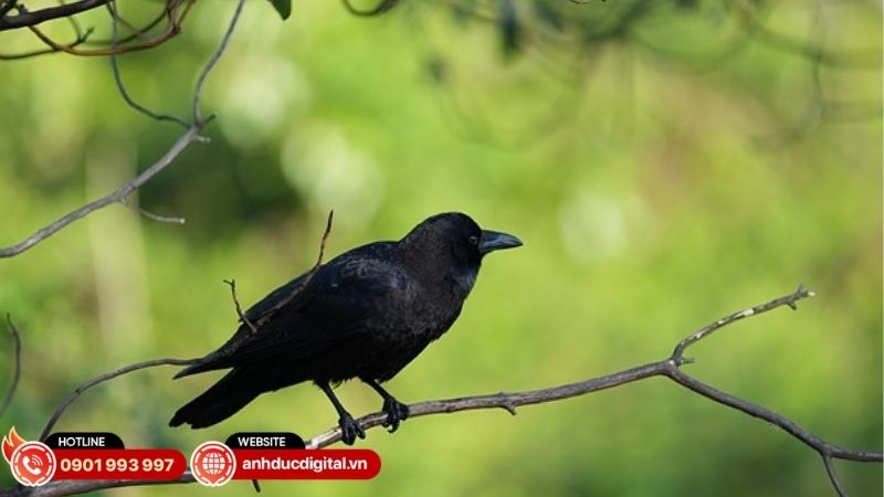 sony-fe-100-400mm-f45-gm-oss-5
