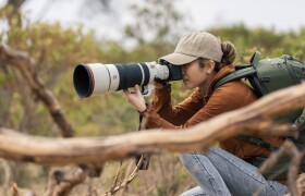 Đánh giá ống kính Sony FE 100-400mm F4.5 GM OSS – Siêu phẩm ống kính tele cho nhiếp ảnh gia Sony