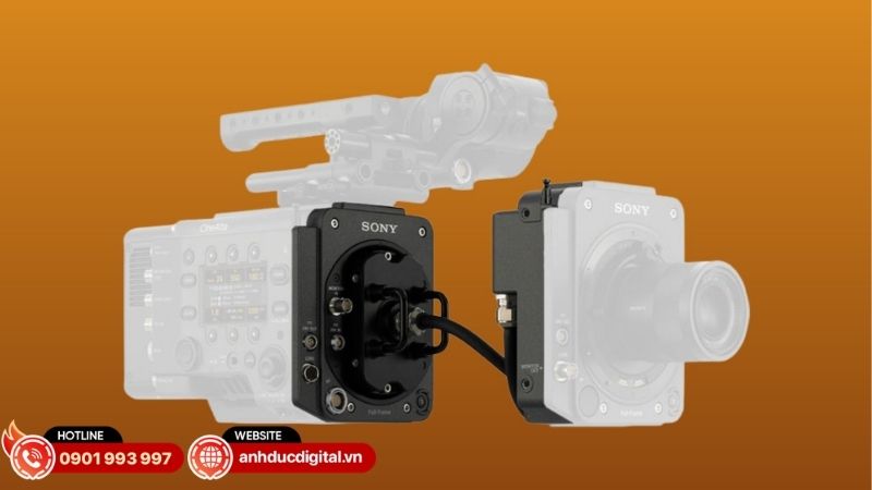 sony-rialto-65-4