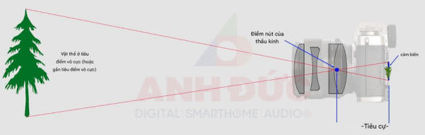 tiêu cự máy ảnh là gì​ - 16.jpg
