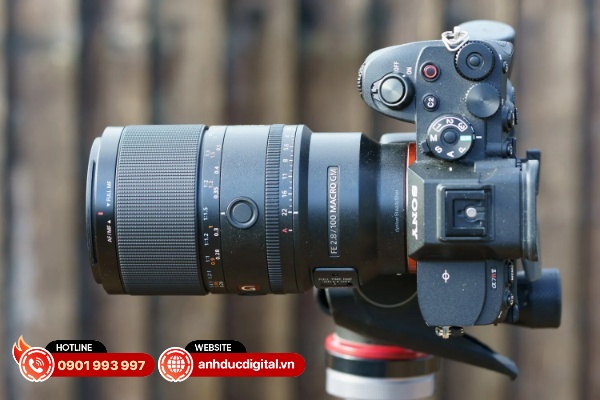 Sony FE 100mm F/2.8 Macro GM là một lựa chọn tuyệt vời cho nhu cầu chụp ảnh macro