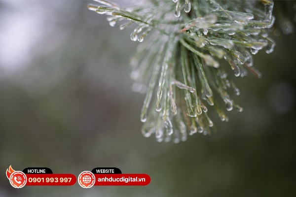 Viltrox AF 35mm F1.2 LAB FE được thiết kế để xử lý và kiểm soát tốt các hiện tượng quang sai