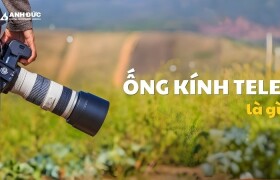 Ống Kính Tele Là Gì? Tất Tần Tật Về Tele Lens Trong Nhiếp Ảnh