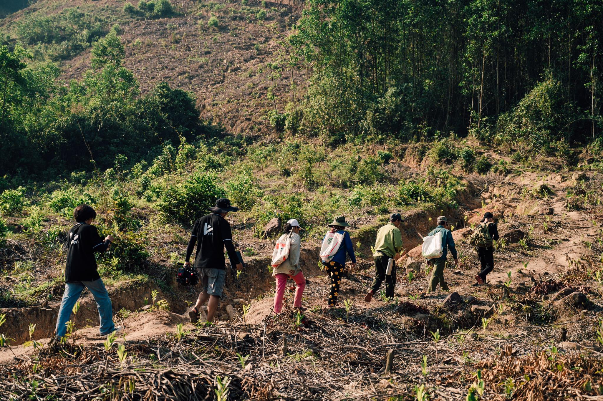 DANANG — LISTEN THE NATURE 1