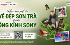 Khám Phá Vẻ Đẹp Sơn Trà Qua Ống Kính Sony – Workshop Wildlife Thực Chiến Cùng Anh Đức Digital
