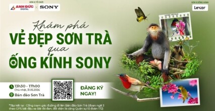 Khám Phá Vẻ Đẹp Sơn Trà Qua Ống Kính Sony – Workshop Wildlife Thực Chiến Cùng Anh Đức Digital