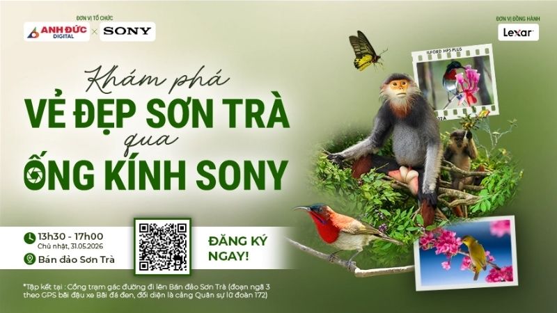 kham-pha-ve-dep-son-tra-qua-ong-kinh-sony-1